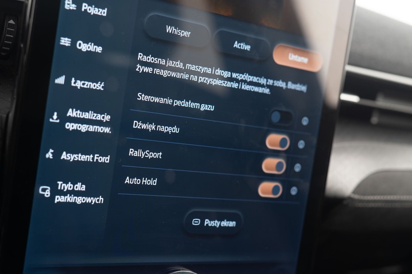 Ford Mustang Mach-E Rally