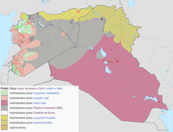 Niemiecka armia rusza do Syrii. Bundestag wydał zgodę