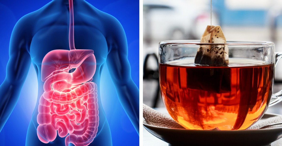 Herbatki na trawienie. Te zioła działają zbawiennie na żołądek, jelita