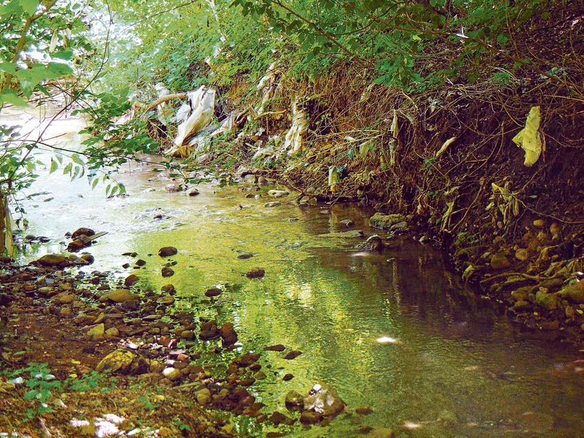 Kese koje vise sa grana iznad reke pravo su ruglo