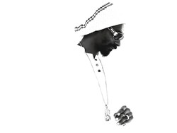 Deep Purple czy Snoop Lion? Ty wybierasz, ty decydujesz