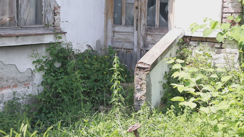 Naselje puno zmija u Čačku