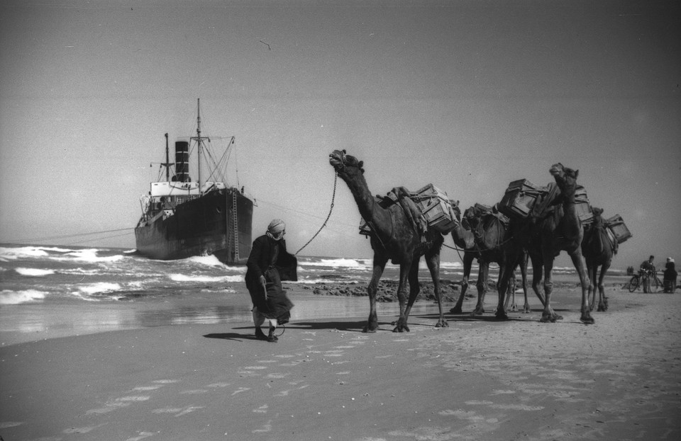 "Morze i Plaża" (fot. Ze’ev Aleksandrowicz)