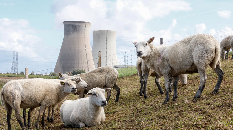 A francia Engie energetikai cégcsoporthoz  tartozó  Tihangei Atomerőmű három reaktorjából egy leállt. /MTI/EPA/Stephanie Lecocq