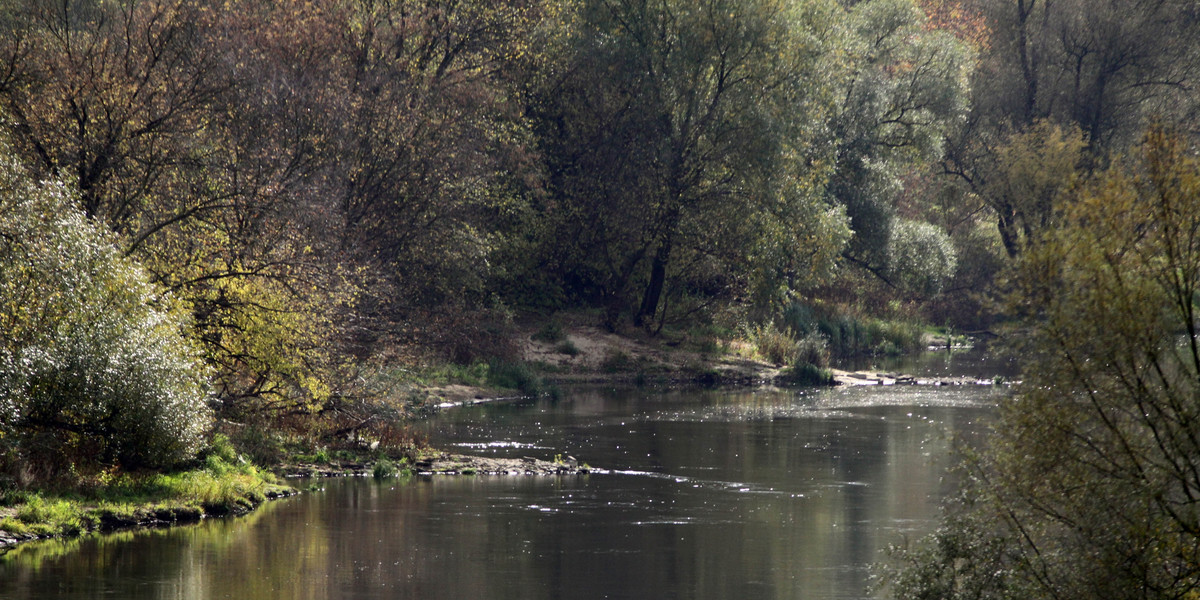 Tereny nad Wartą