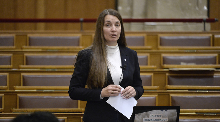 A Jobbik azt követeli, hogy az államfő ne írja alá a törvénymódosítást/ Fotó: MTI/Soós Lajos