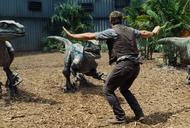 Welociraptory dinozaury Chris Pratt Jurassic World