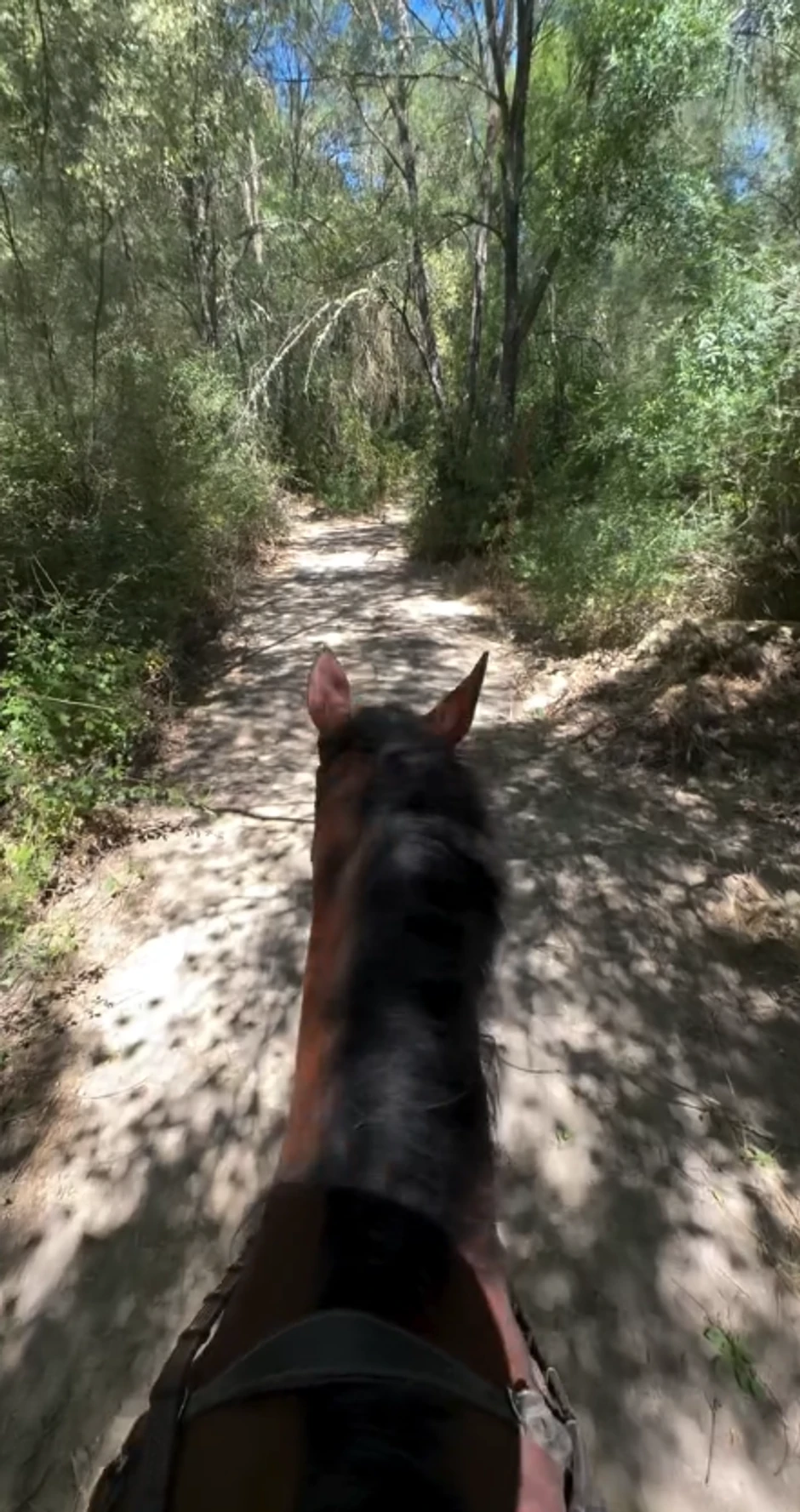 Rođena sestra Jelene Đoković uživa u prirodi