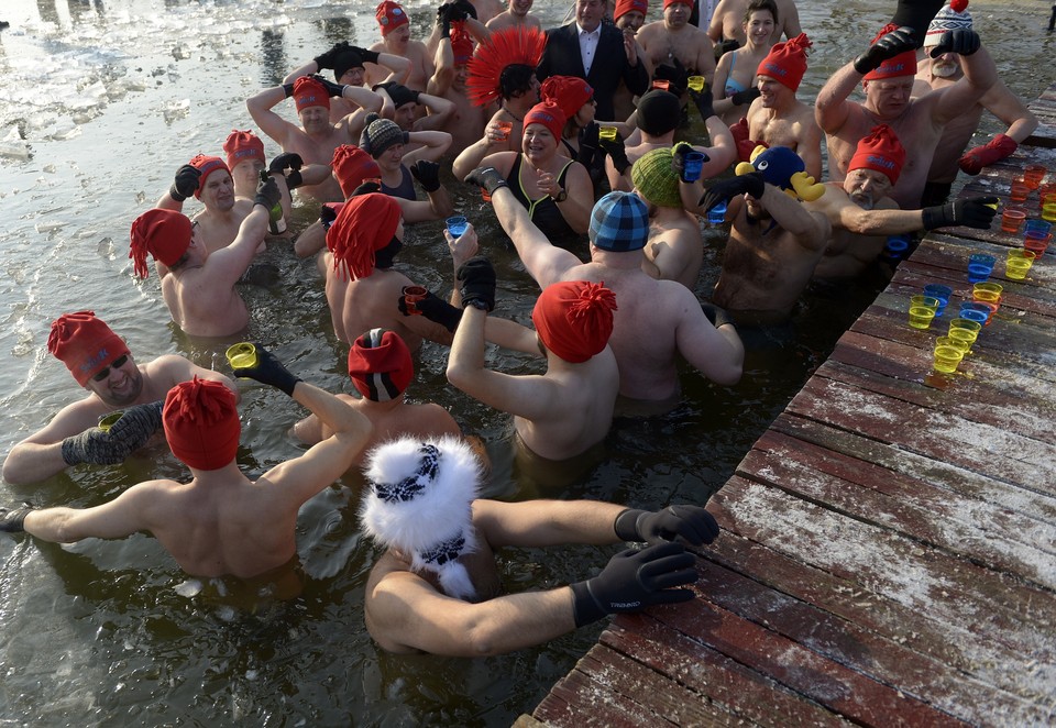 Noworoczna kąpiel morsów