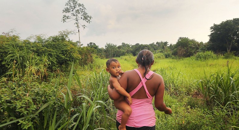 Brazil Amazon