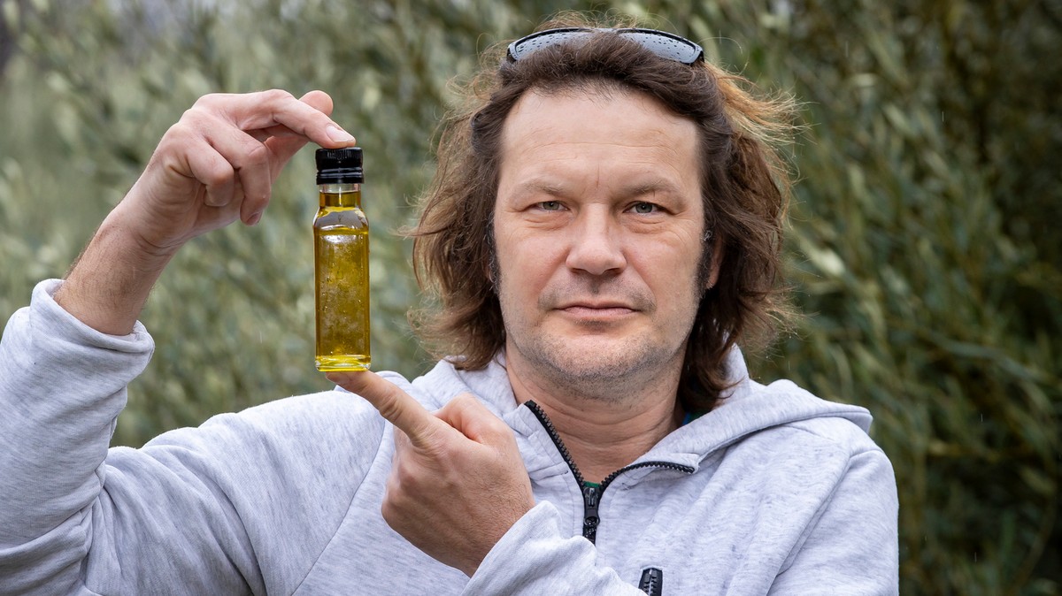 Kuriózumnak számít Gábor olívaolaja: 100 ezer forintot ér egy liter
