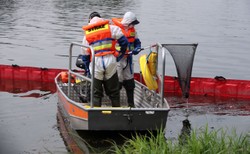 W końcu dobre wieści znad Odry. Wykryto żywe ryby