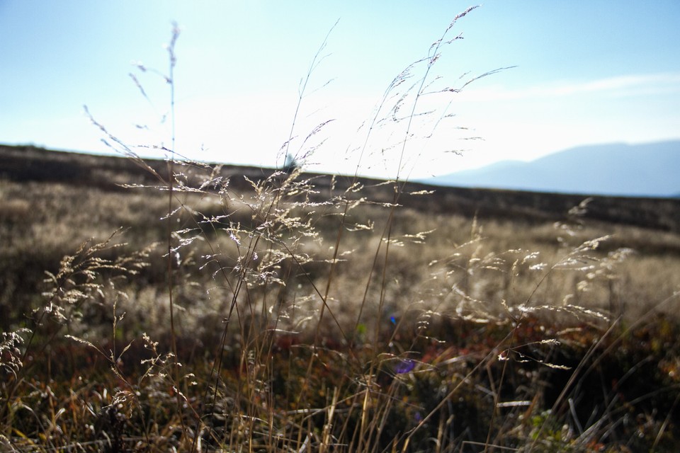 Bieszczady