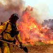 Zmiany klimatyczne wkrótce nas wykończą, a awokado będzie na liście winnych