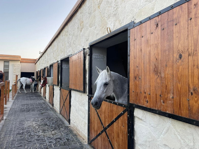 Stadnina koni na terenie resortu 