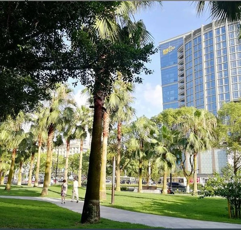 Vendžou, grad u kineskoj provinciji Džeđang