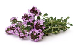 Zioło pokona trądzik