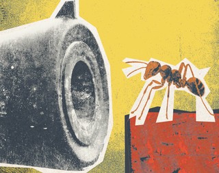 Ministerstwo Głupich Kroków wciąż działa. Jak politycy wybierają pozory zamiast rozwiązań