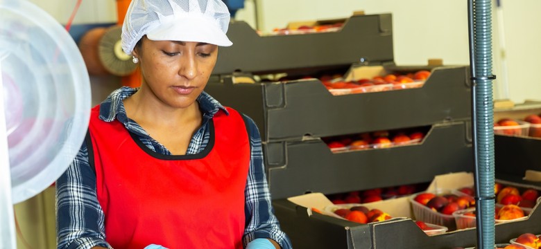 Napływ osób z tego kraju do Polski jest lawinowy. I nie chodzi o Ukrainę