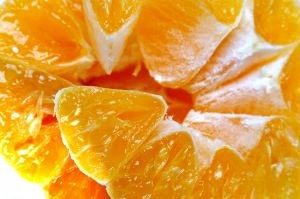 762198-mandarine-d00000083d5a82afe40d7