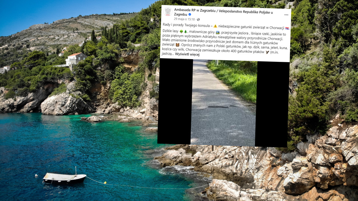 Ambasada ostrzega przed wizytą w Chorwacji. "Niebezpieczne stworzenia"