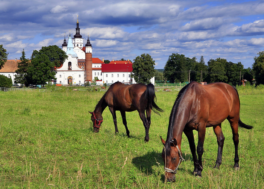 7 nowych cudów Polski