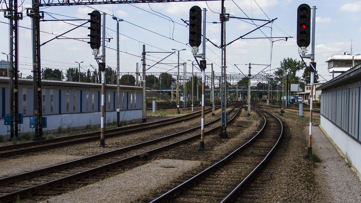 Prawie 8 mln zł kosztowała budowa wiaduktu kolejowego w Nowej Dębie. Obiekt jest częścią drogi krajowej nr 9, prowadzącej z Radomia do przejścia granicznego ze Słowacją w Barwinku.