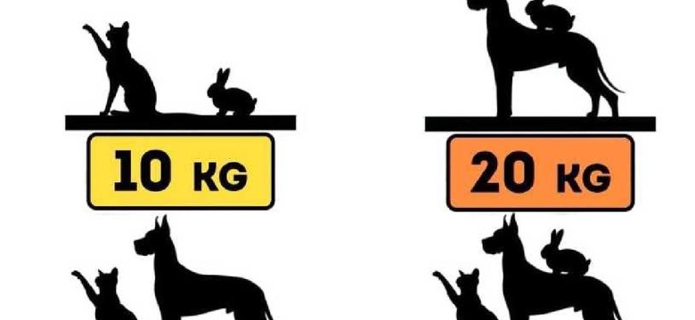 Trening dla geniuszy. Tylko 2 proc. najbystrzejszych umysłów rozwiązuje tę łamigłówkę w 6 sekund. Podejmiesz się?