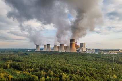 Inwestorzy świętują uwolnienie producentów prądu od węgla, z którego ten prąd powstaje