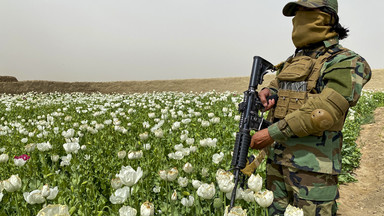 Talibowie zakazali uprawy maku, na europejskie ulice trafia syntetyczny opioid. Mroczne kulisy przemysłu narkotykowego