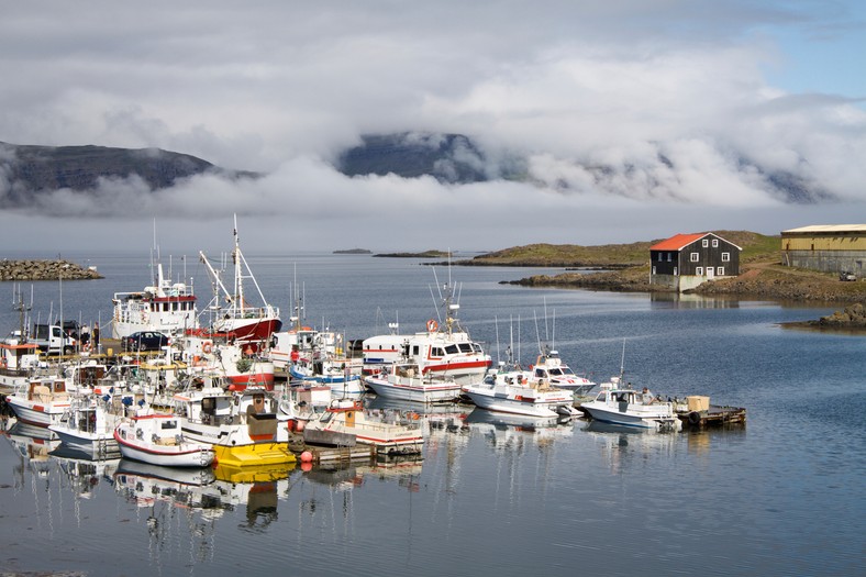 Islandia, wioska Djupivogur