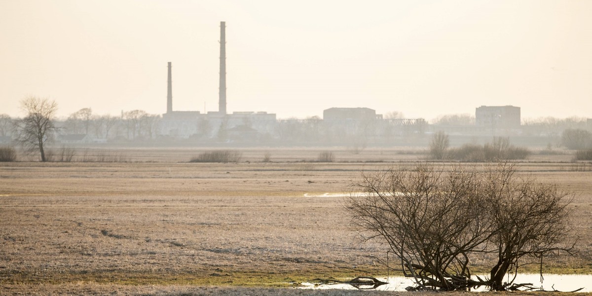 Kaliningrad. Rozdają pracownikom działki, żeby zasadzili sobie ziemniaki.