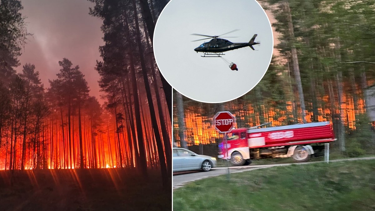 Pożar lasu na Lubelszczyźnie. Ważny komunikat dla mieszkańców okolicznych wiosek. 