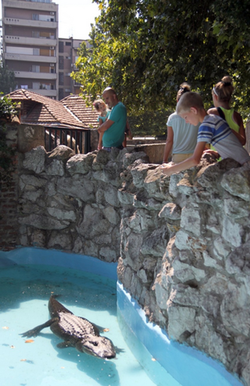 Omiljen među posetiocima Zoo vrta