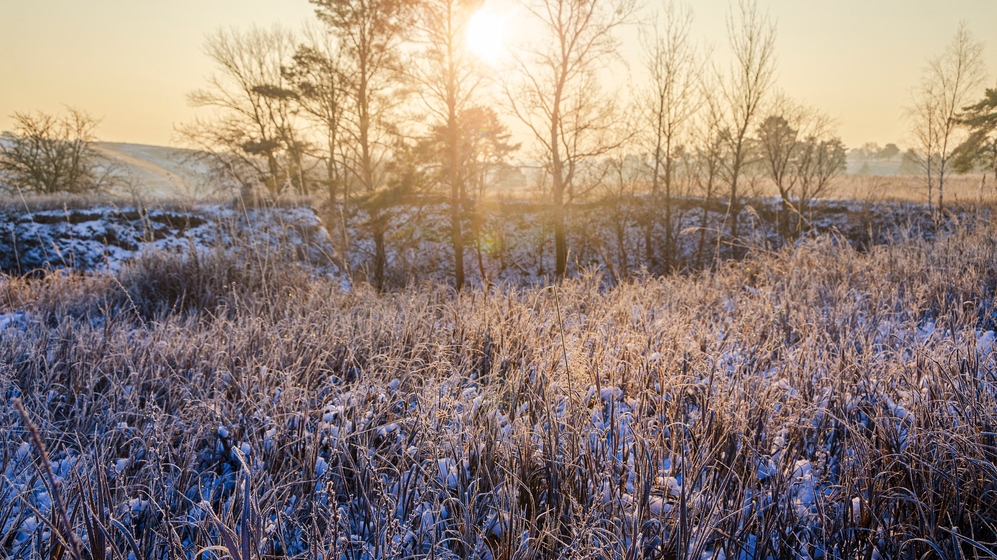 December bude z pohľadu počasia rozdelený na dve polovice. (ilustračné foto)