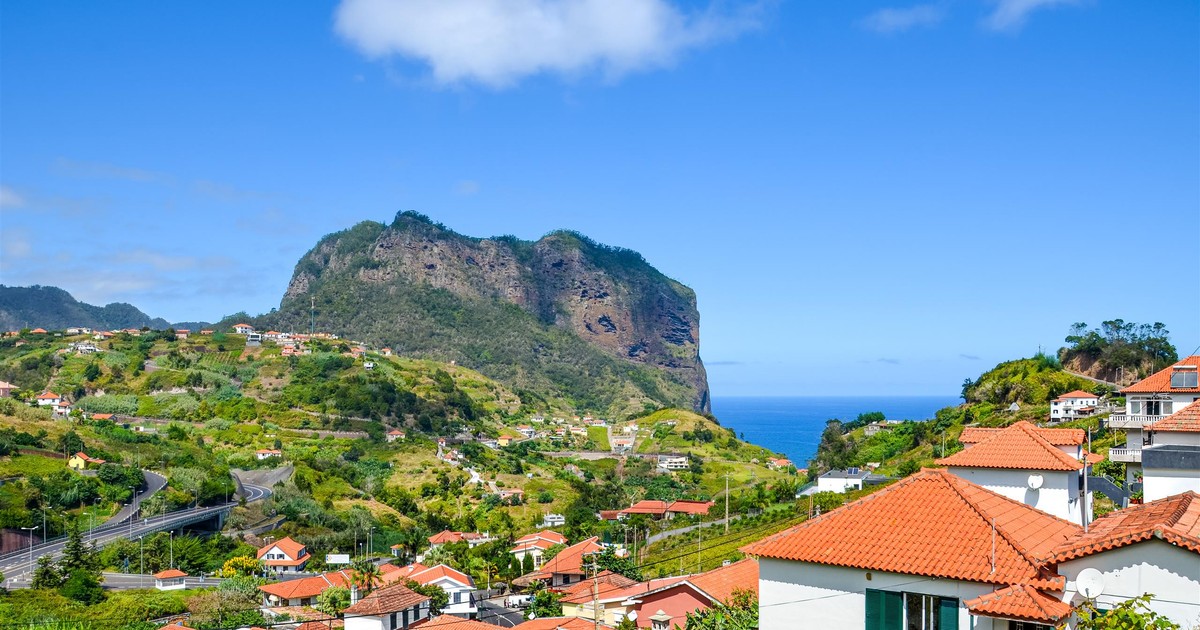 Magiczny las przyciąga tłumy. Wyspa wprowadzi dzienny limit odwiedzających