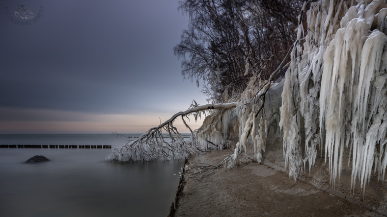 Fotografia wykonana przez Marka Sałatowskiego