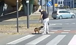 Skopał psa na środku ulicy. Szokujące nagranie trafiło do sieci