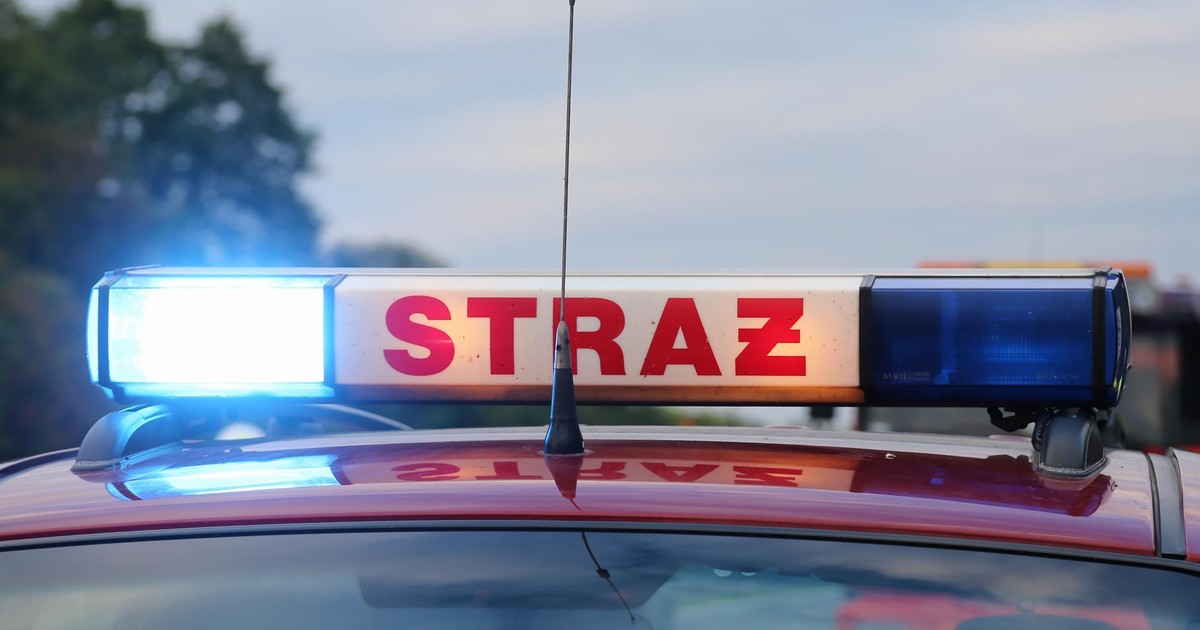 Pożar tira na A2