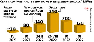 Ceny gazu (kontrakty terminowe miesięczne w Euro za 1 MWh