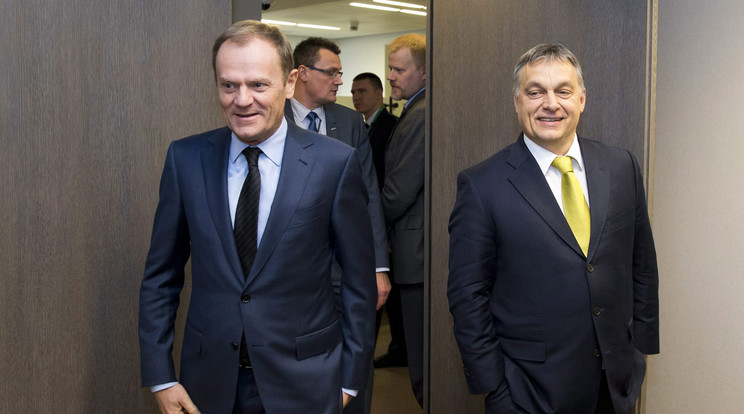 Donald Tusk nem titkolja, hogy számos politikai kérdésben nem szimpatizál  Orbán Viktorral és politikájával/Fotó: MTI EPA/ Enzo Zucch