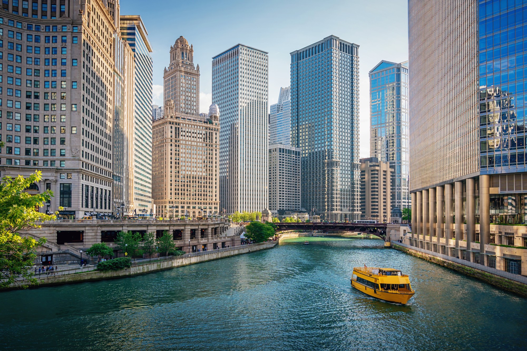 Štúdiu vedci vykonali v Chicagu.
