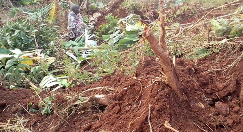 10 families face homelessness in latest land grabbing in Wakiso