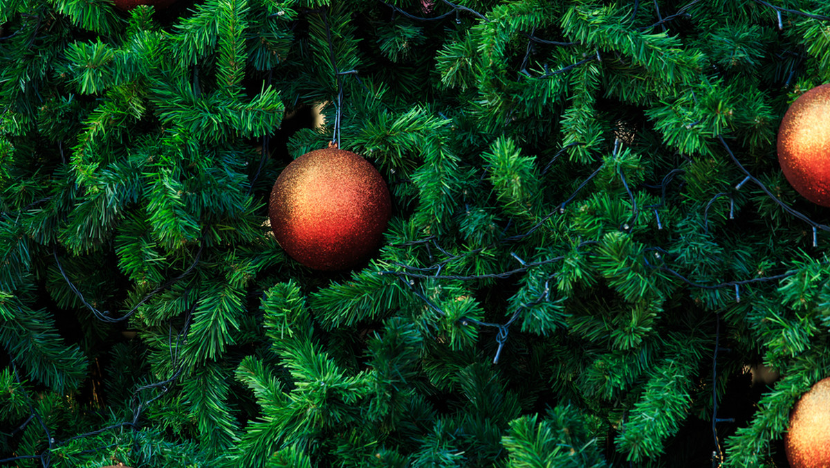Co zrobić ze świątecznym drzewkiem, którego nie chcemy trzymać już w domu? To pytanie wiele osób zadaje sobie co roku niedługo po świętach Bożego Narodzenia. We Wrocławiu sposobów na pozbycie się choinki jest co najmniej kilka.