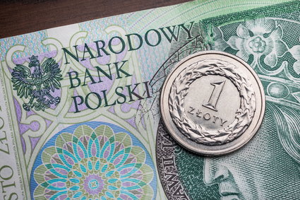 CASE: Luka VAT w Polsce spadła do 13,8 mld złotych