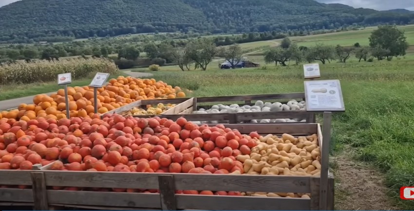 prodavnica bez prodavca