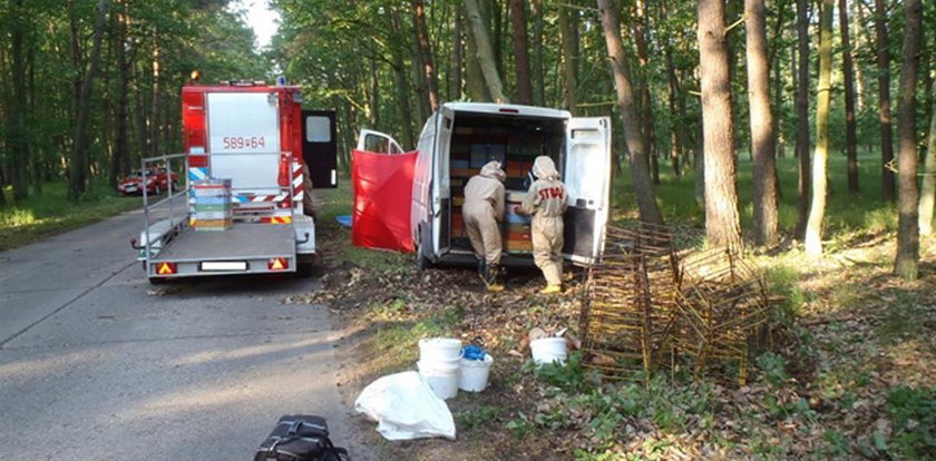 Tragiczny wypadek. Bus z pszczołami rozbił się o drzewo