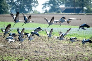 Tegoroczny wrzesień będzie najcieplejszy od ponad 100 lat?