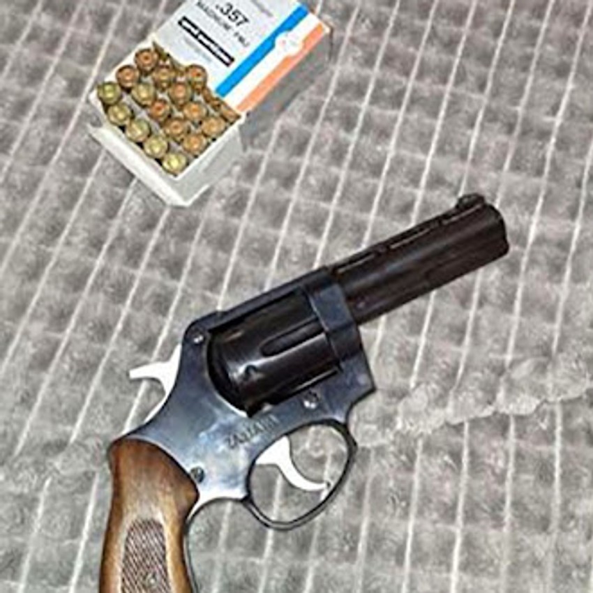 Pucnjava, Višnjička banja, zaplenjeno oružje