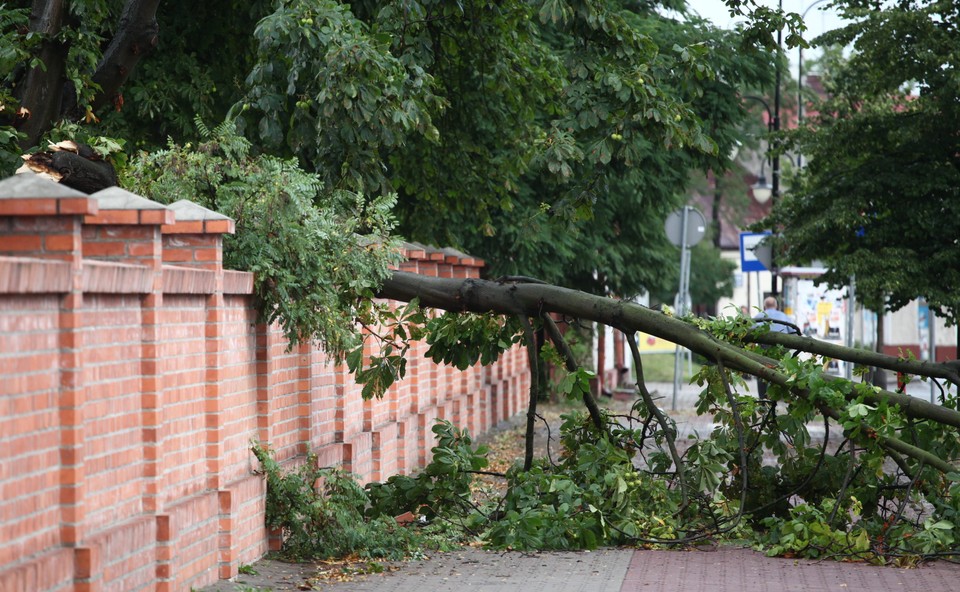 Połamane gałęzie przy ulicy Kościuszki w Piasecznie